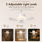 Portable Rechargeable Hanging Fan Light for Indoor & Outdoor Use