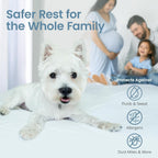 SleepGuard Premium Cotton Waterproof Mattress Protector